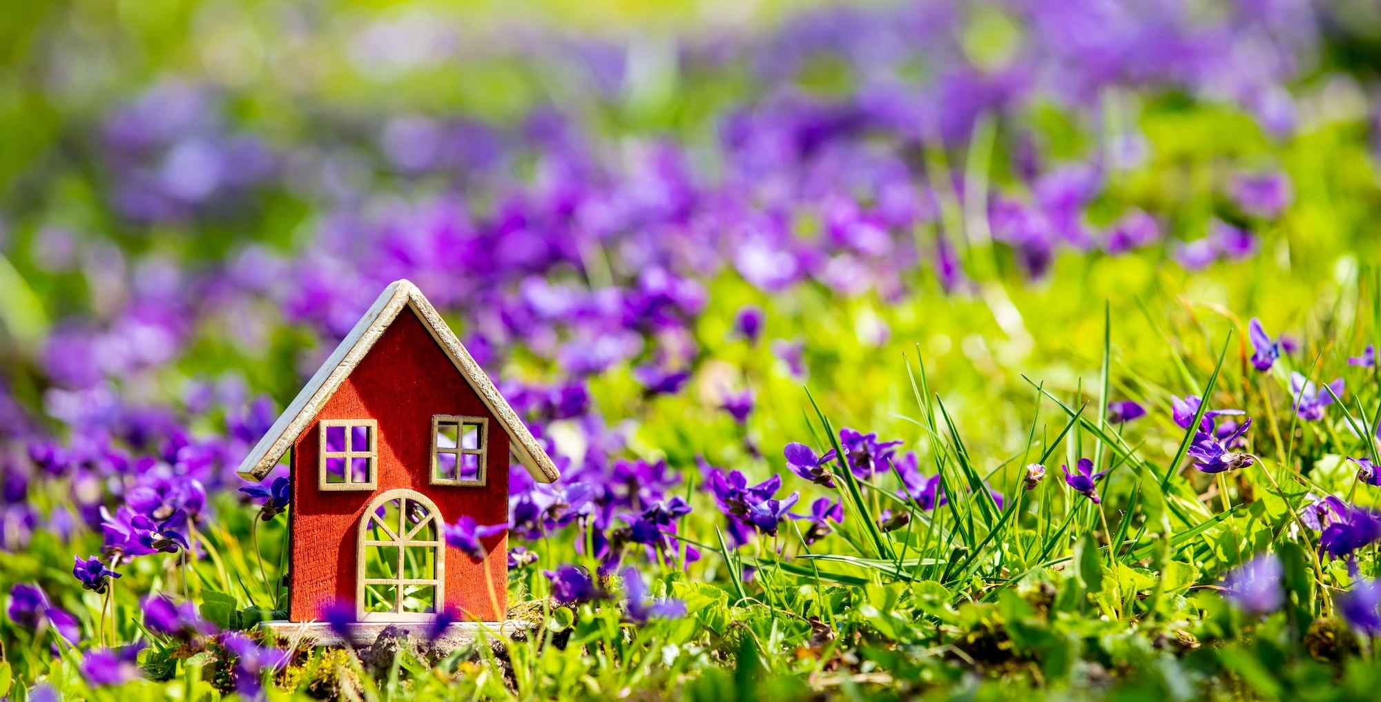 a little house surrounded by flowers and weeds
