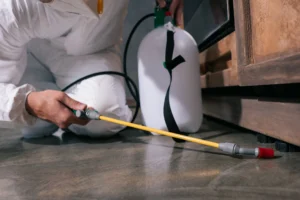 pest control worker with a spayer
